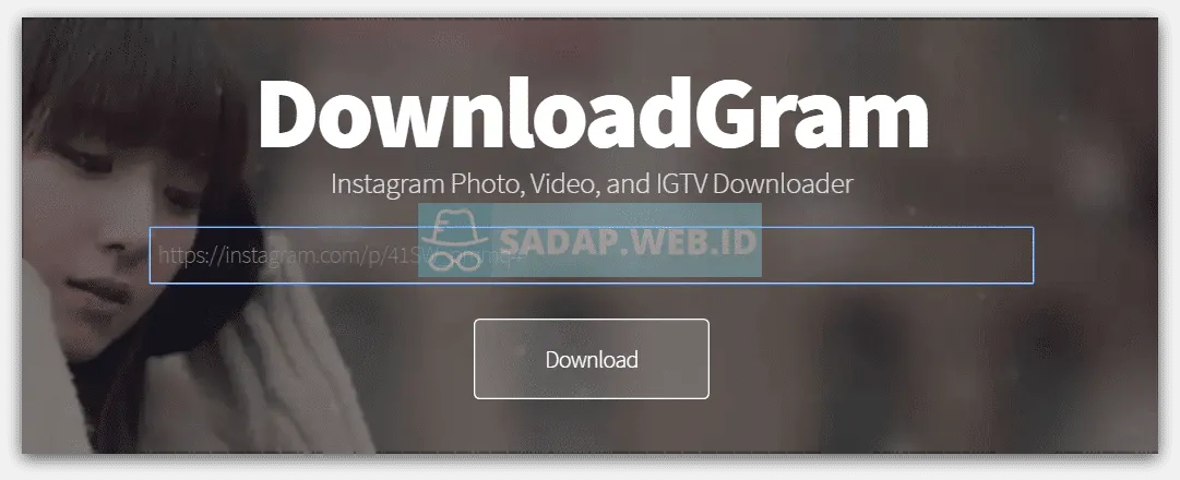 Aplikasi Download Video Reel dan Story Instagram