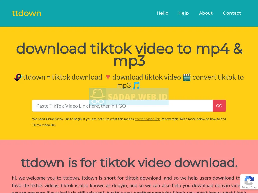 Aplikasi Unduh Video TikTok TTDdown