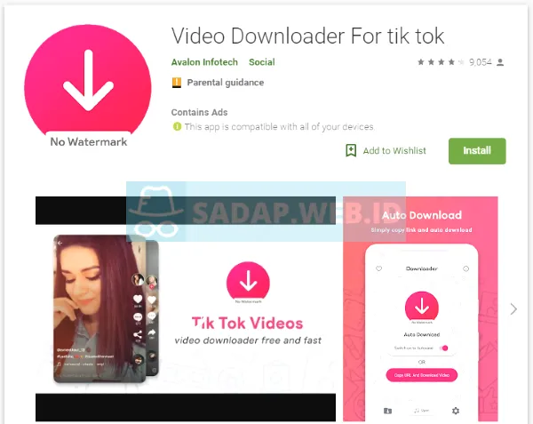 Aplikasi Downloader Video dan Hapus Watermark TikTok