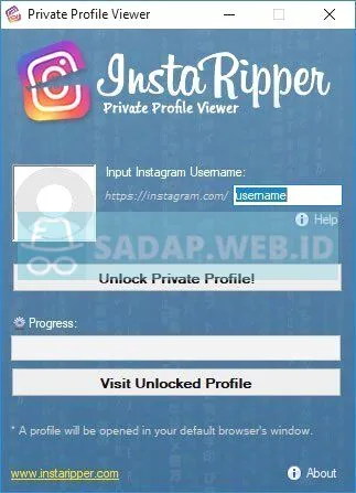 Metode Mudah Lihat Instagram yang di Private - InstaRipper