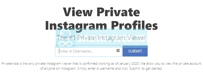 Lihat Profile Private Instagram dengan PrivateInsta
