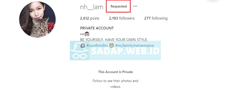 Follow Instagram Private